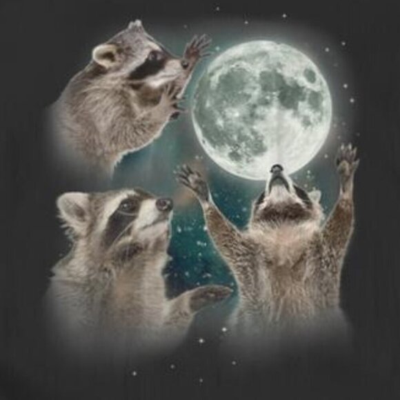 Three Raccoons Howling At The Moon Shirt Funny Meme Animal Graphic Tee Vintage17 - Picture 2 of 5